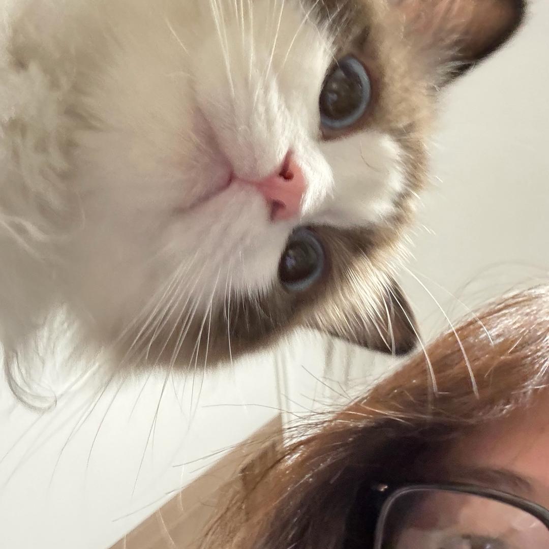 锅锅今天吃什么