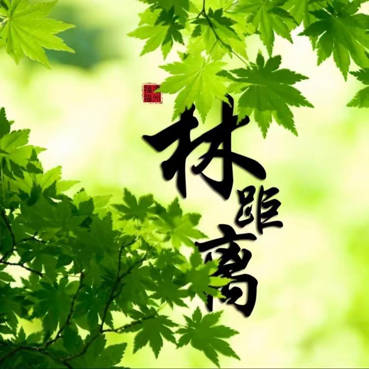 林距离