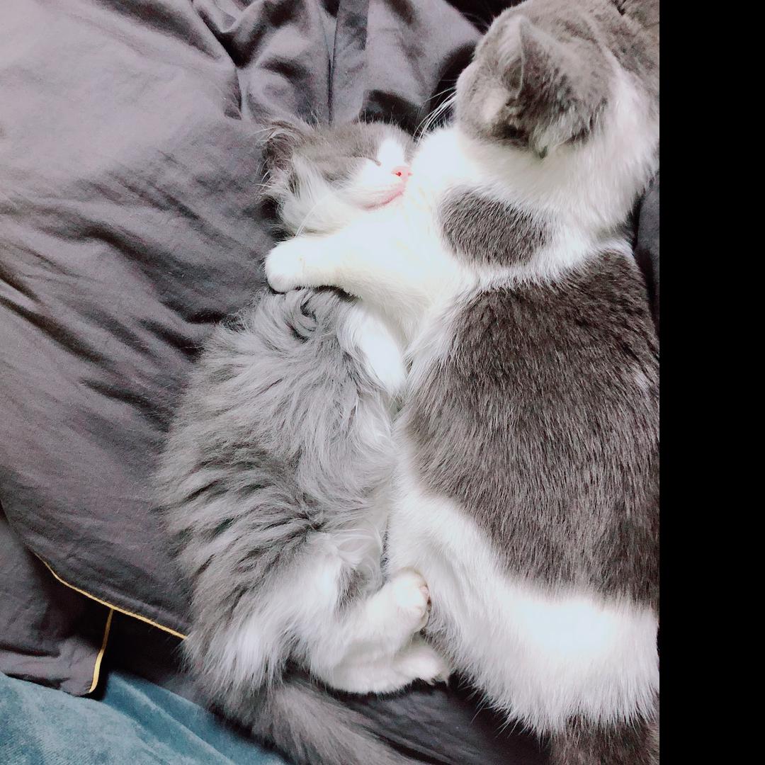 联盟三区垫底拉克丝