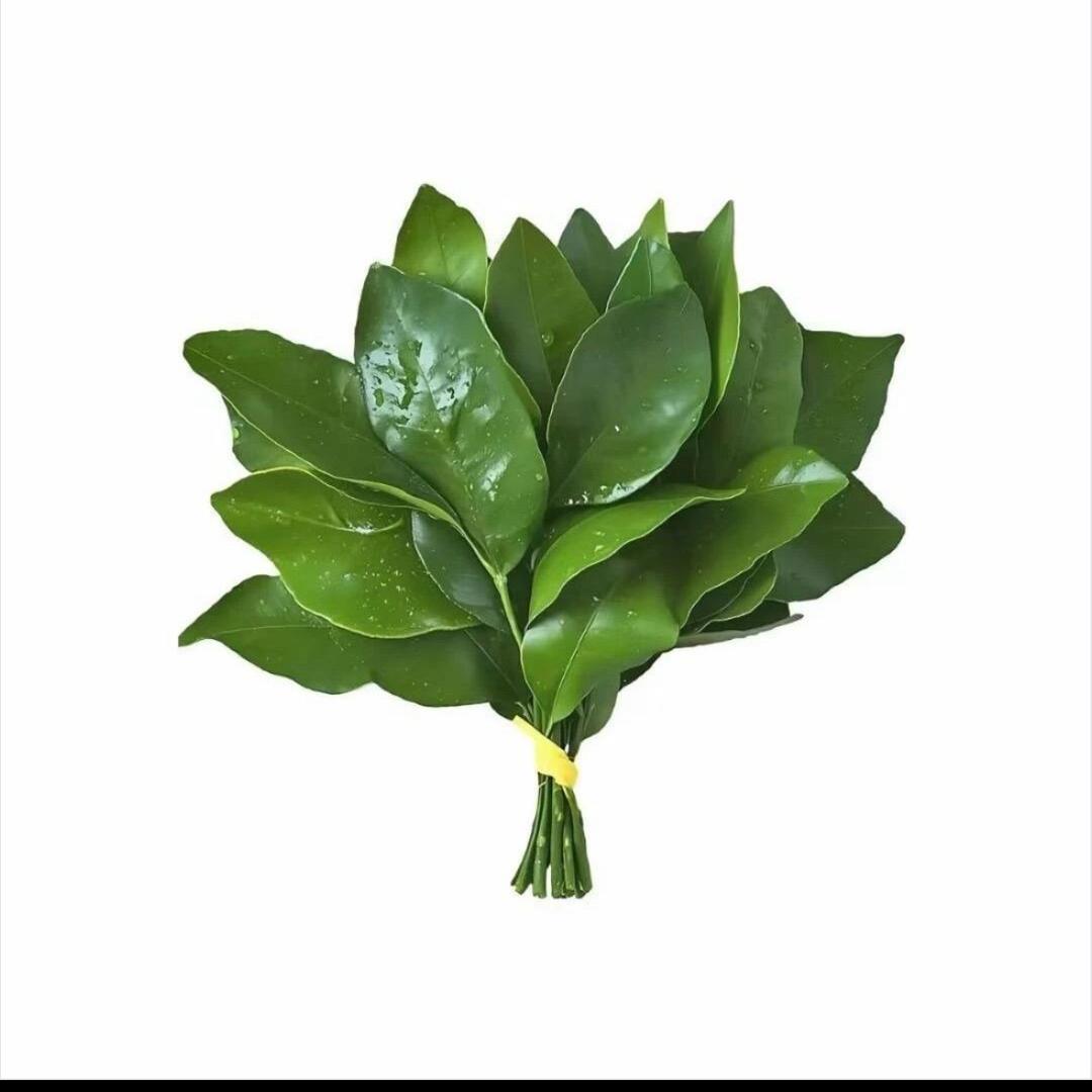 如花姐姐