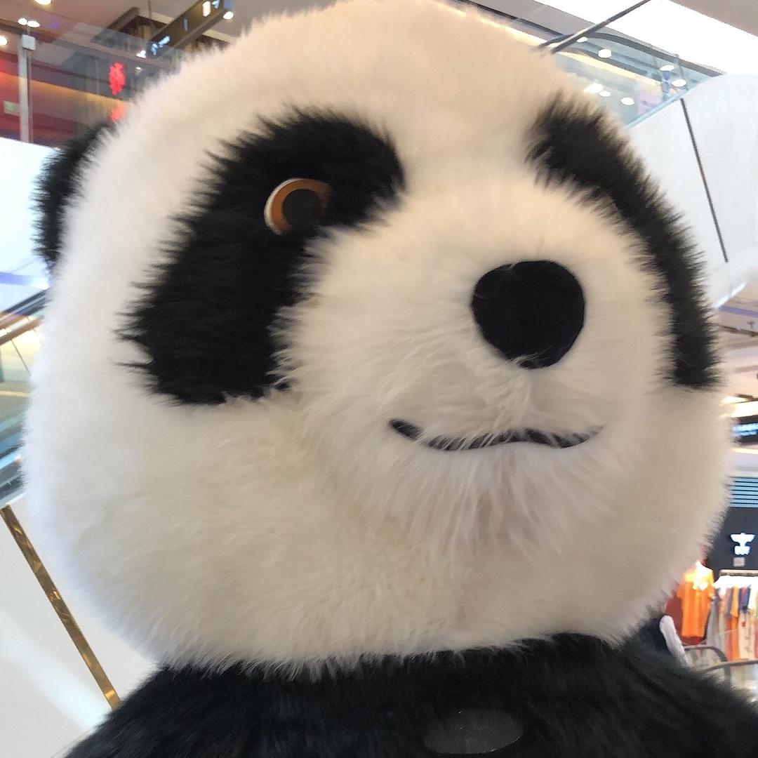 折耳小🐰子