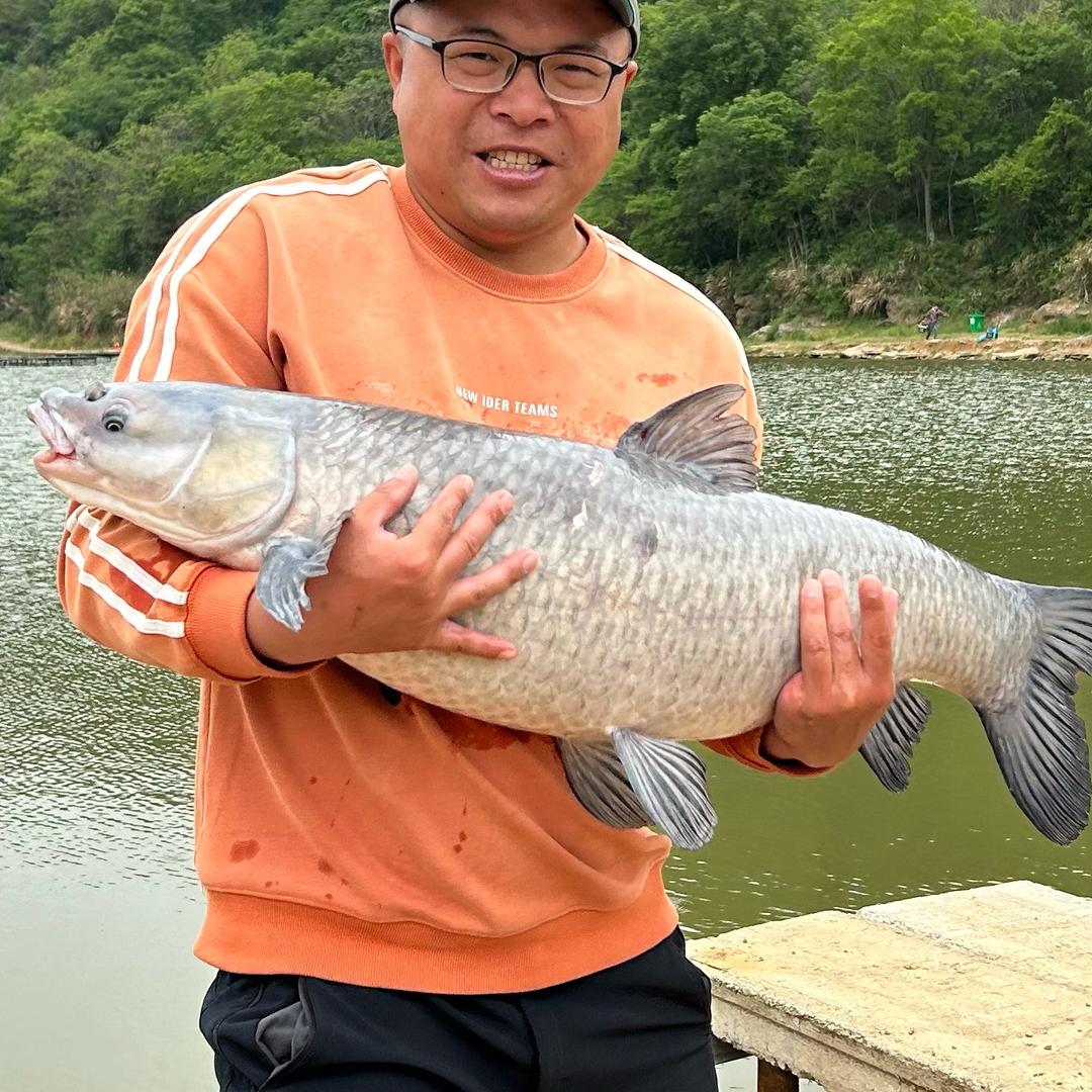 游钓小阿飞