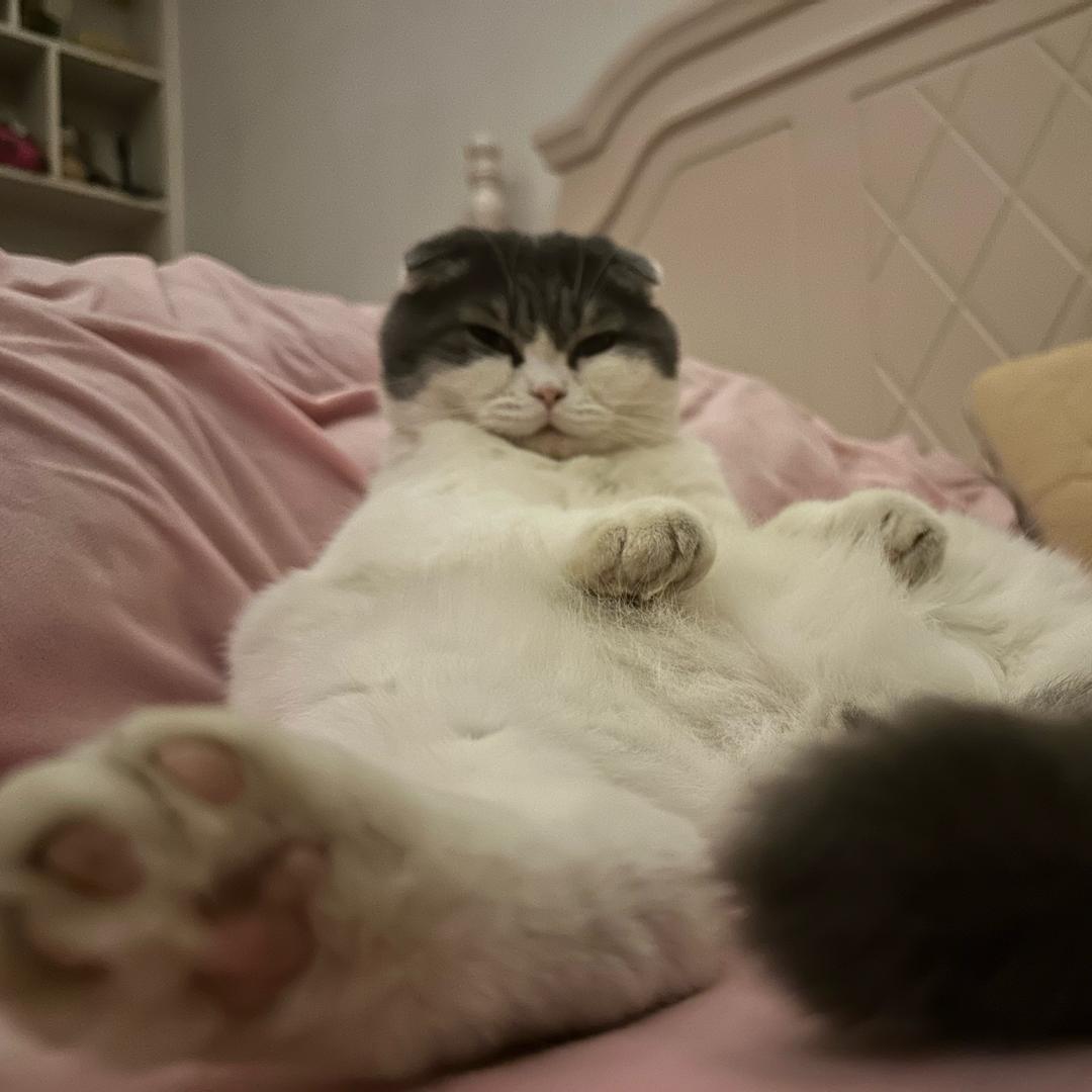 燕云爱跑图的街溜子