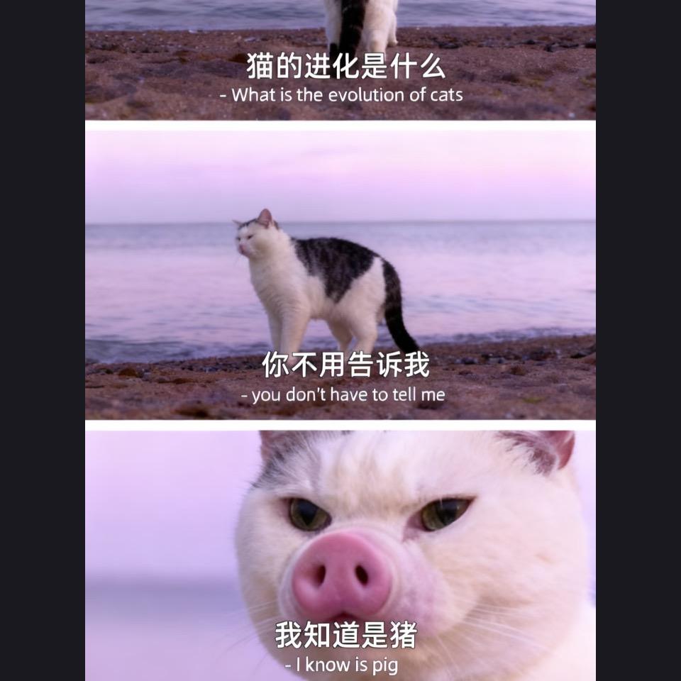 罗罗