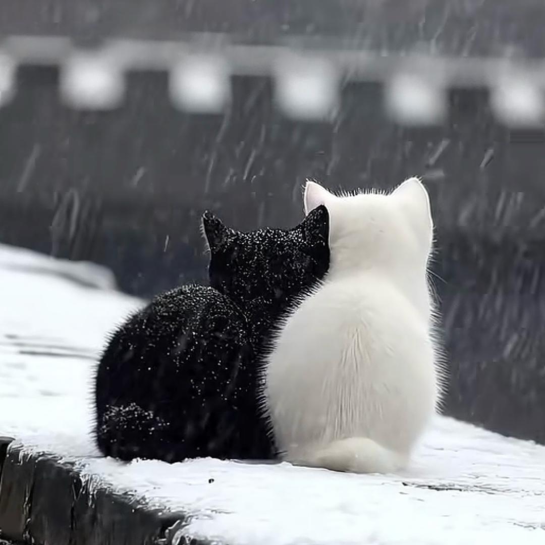 ✨ 时光