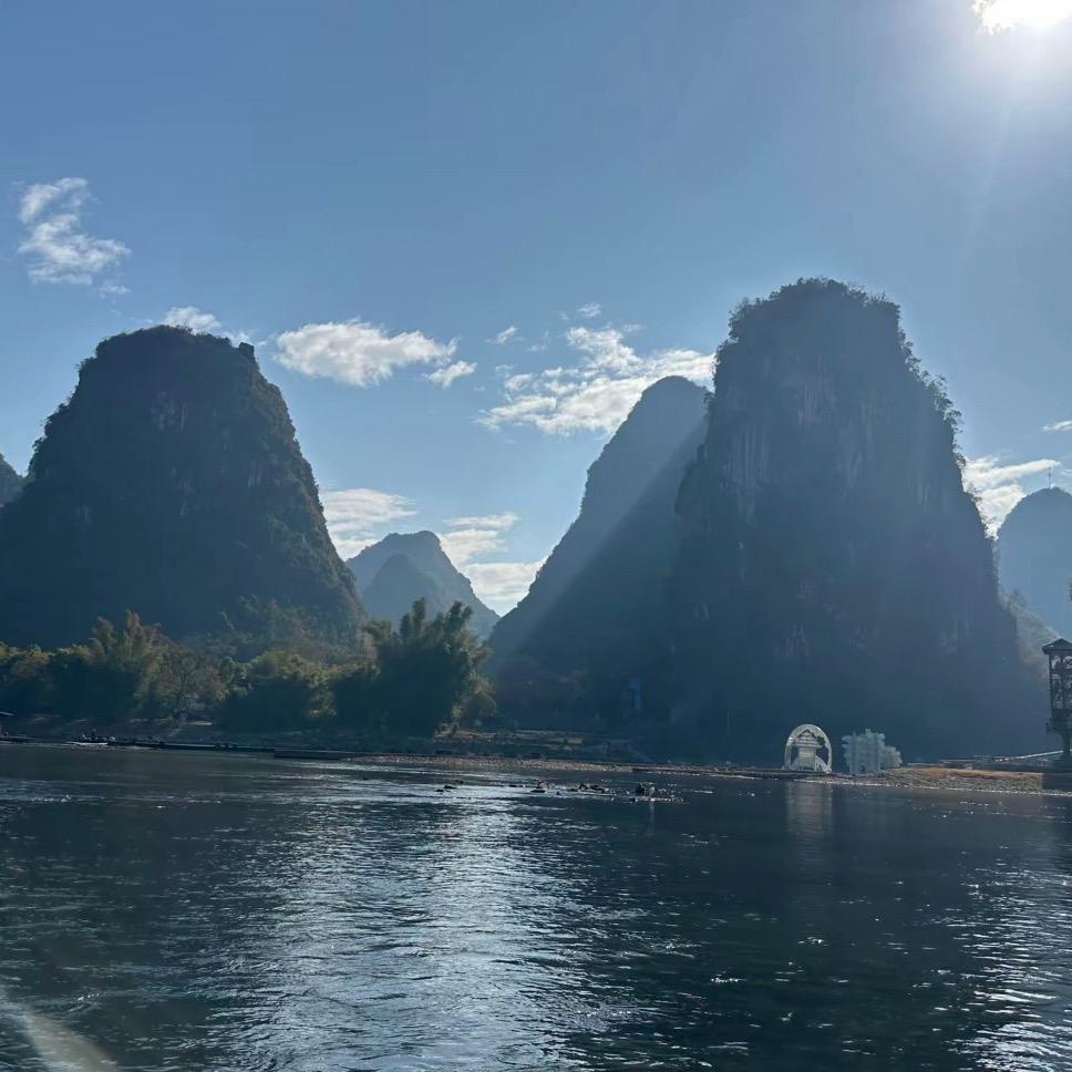 风中摇曳