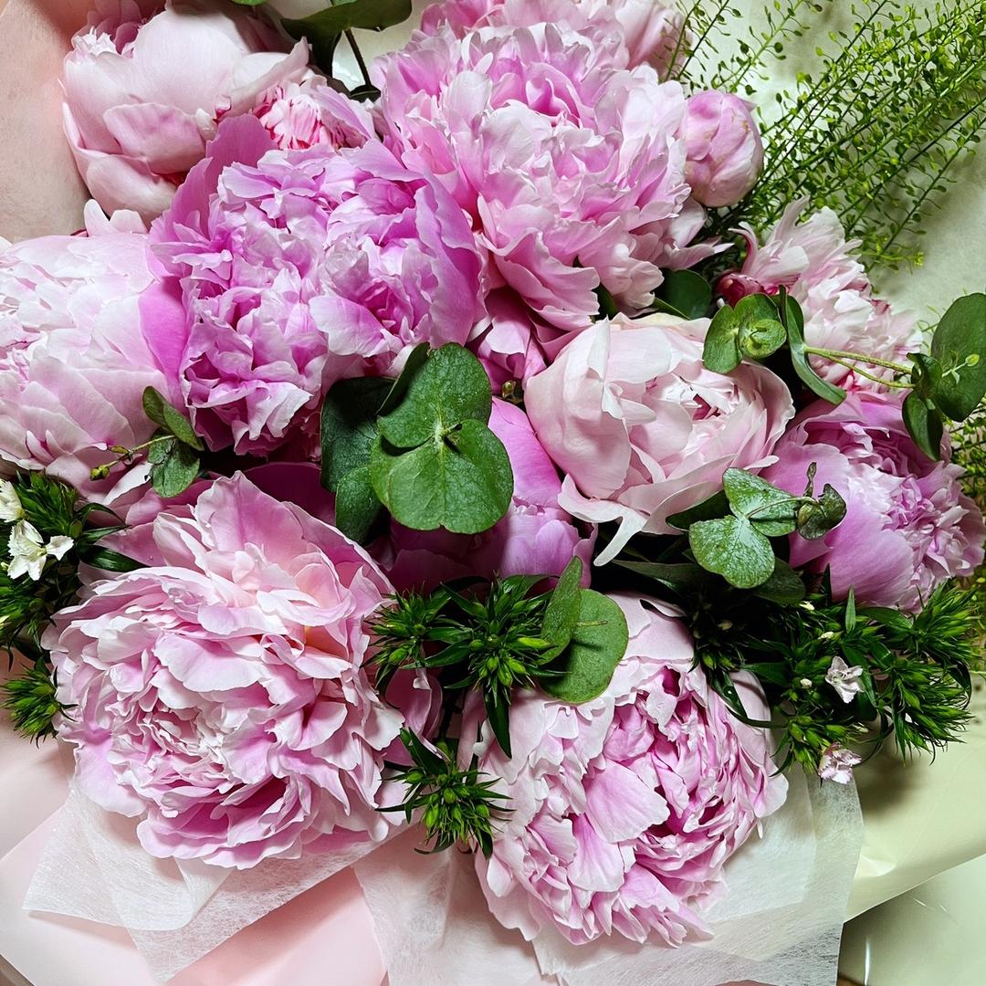 小雪🌸