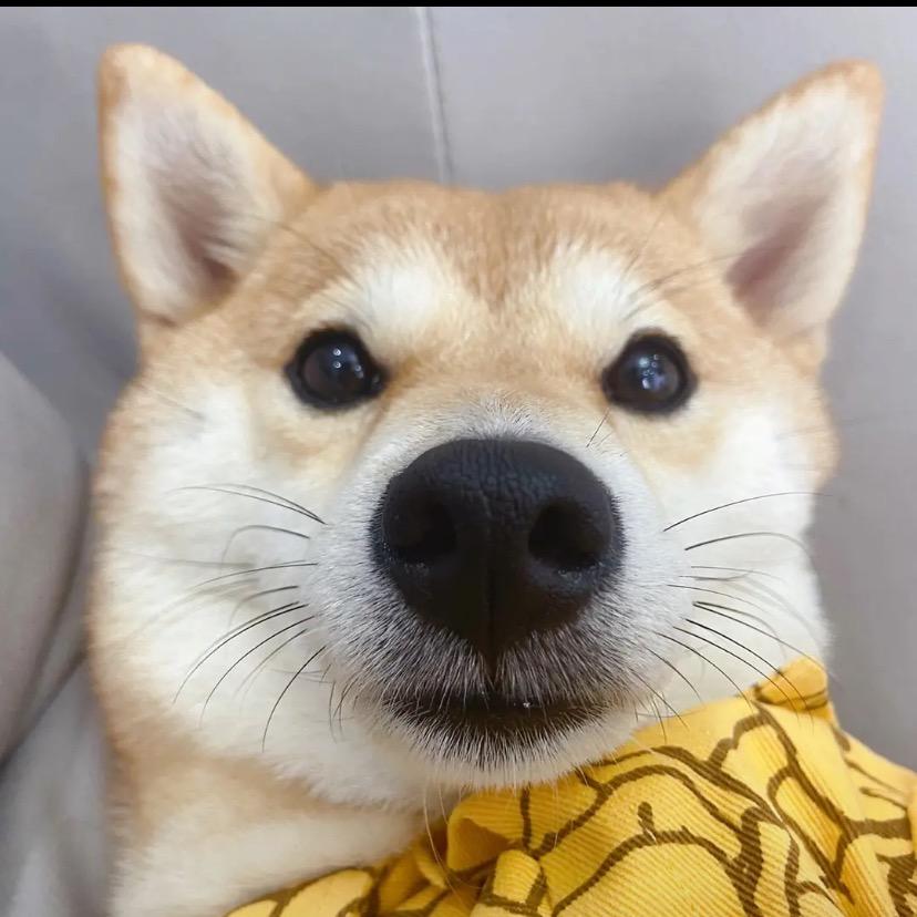 暖阳_MU