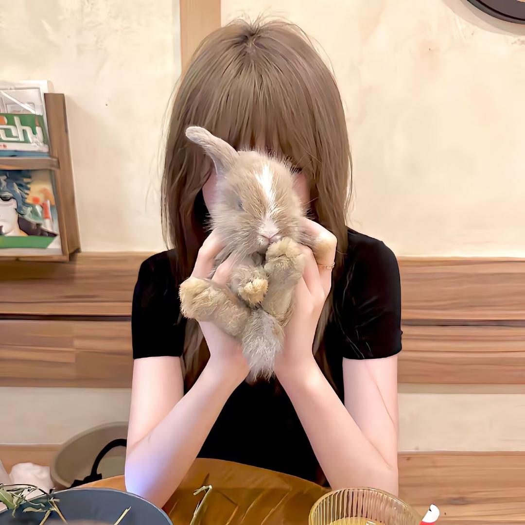 兔