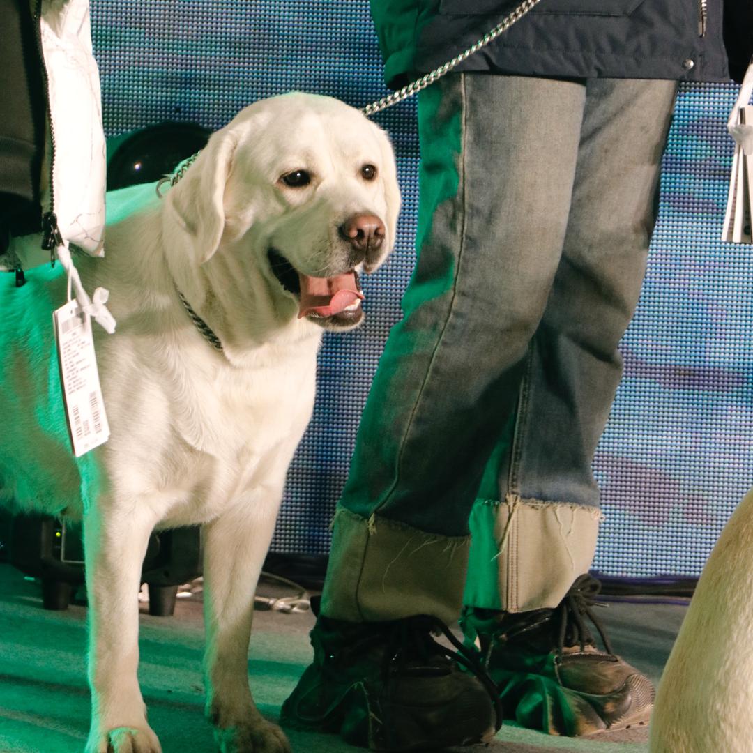 快乐波妞日记📓