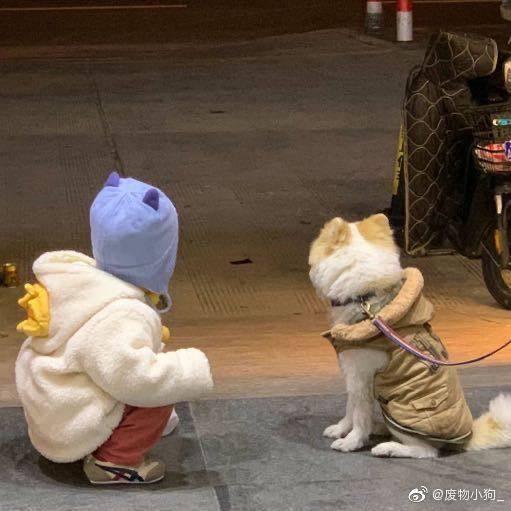 烦心事全滚蛋好吗