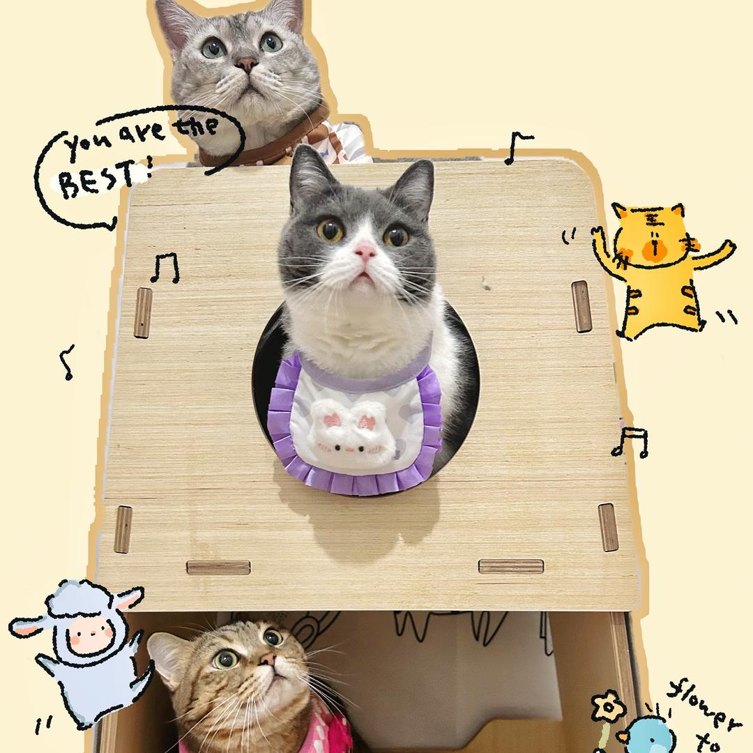 柚子今天吃饱了吗