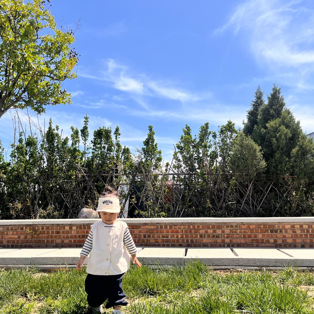 金豆子家的日记本🏠