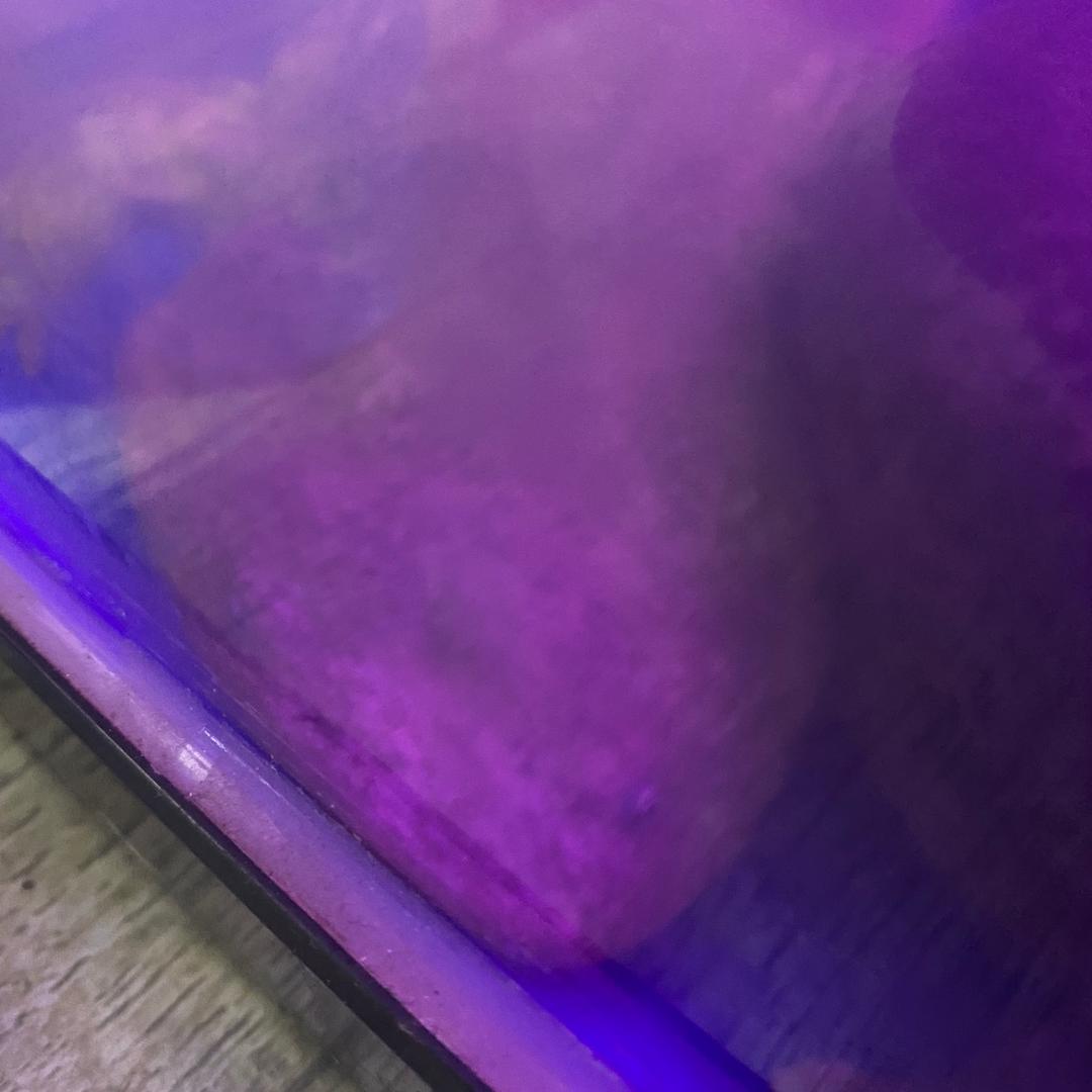爱玩儿和平精英泥巴鱼