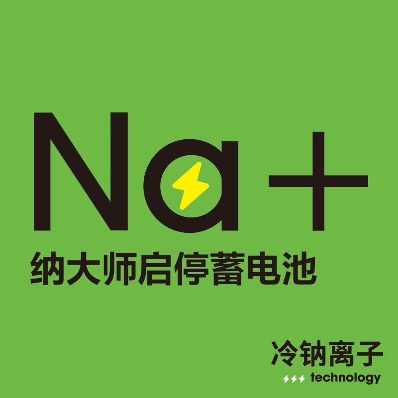 纳大师蓄电池旗舰店