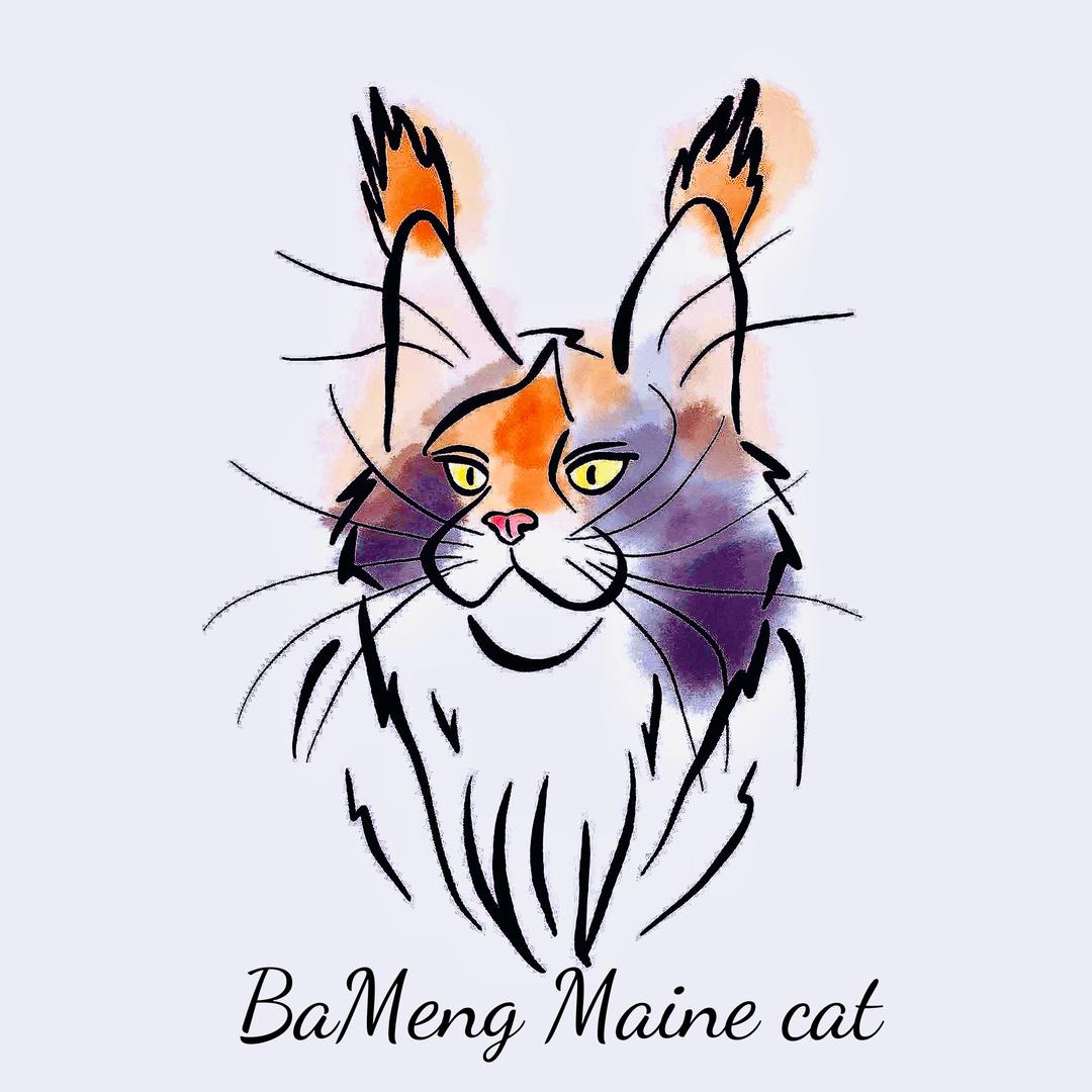 BaMeng🌈Maine cat