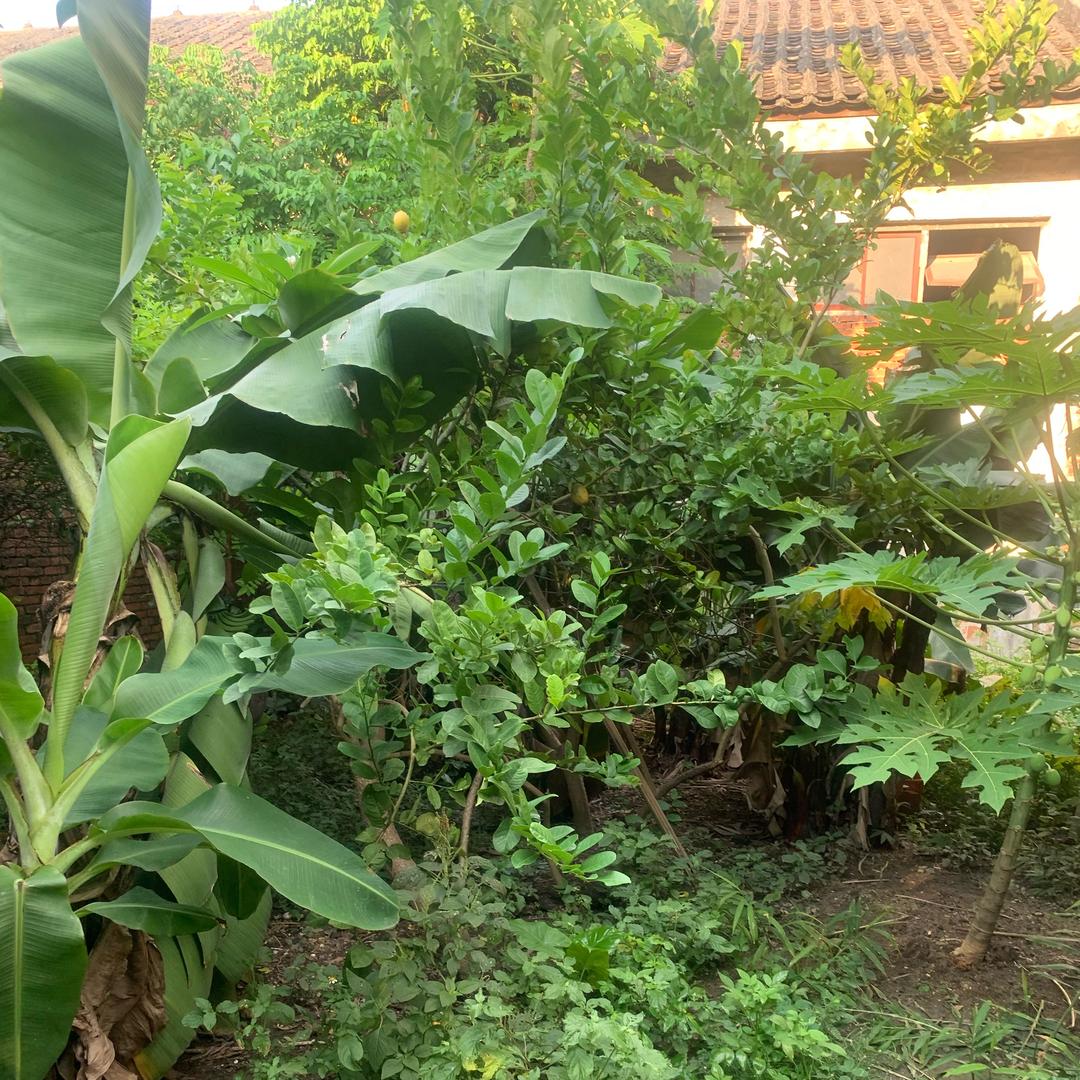 顺意四 旺嘿（ 万事皆😍