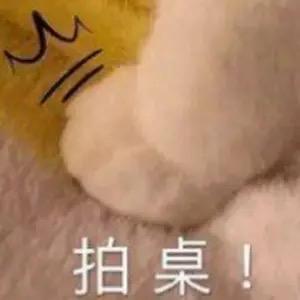 人间 npc