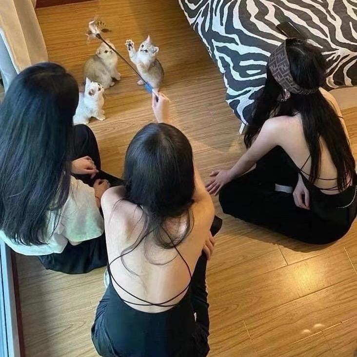 ㅤㅤㅤㅤㅤㅤㅤㅤ ㅤㅤㅤㅤㅤㅤㅤㅤ277