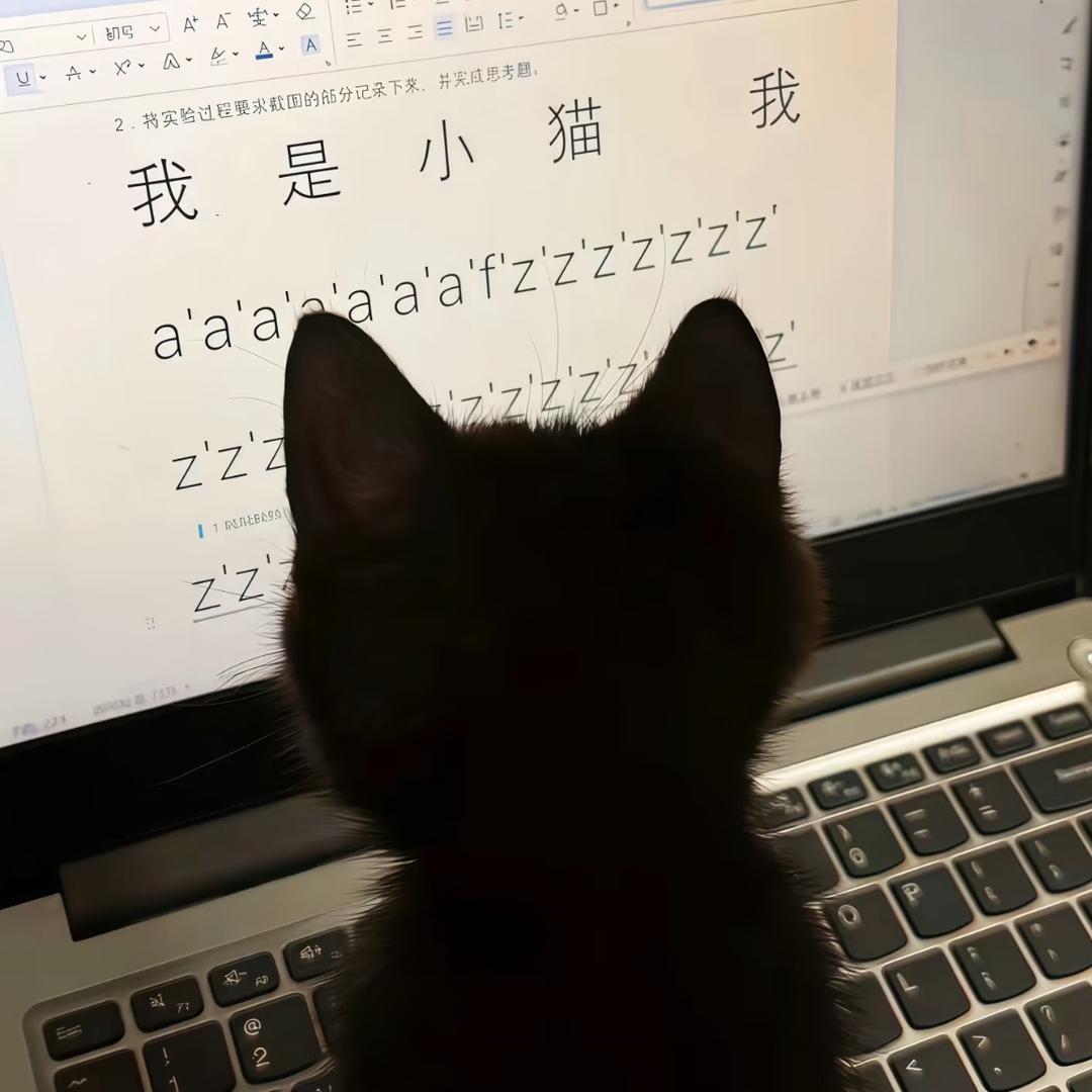 加点白噪音