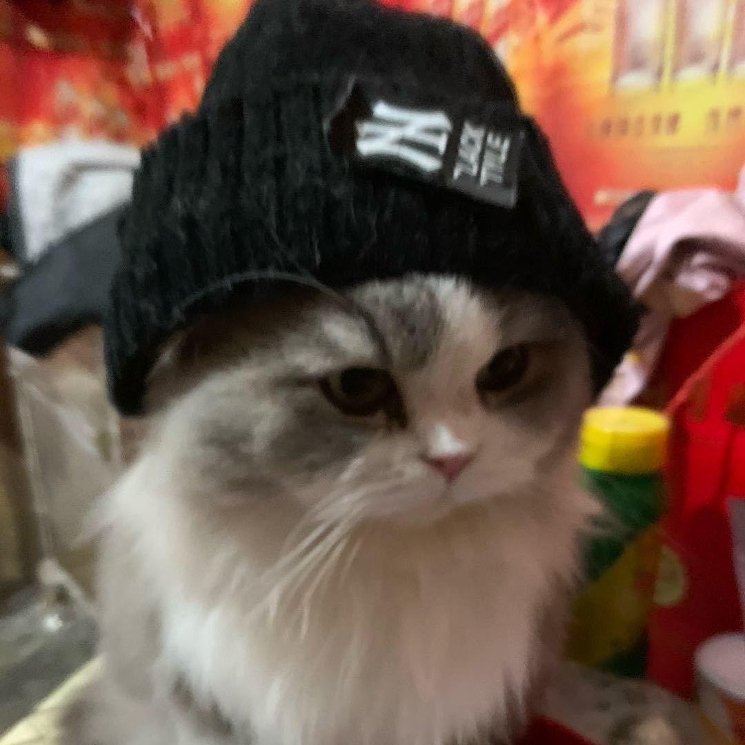 柳叔