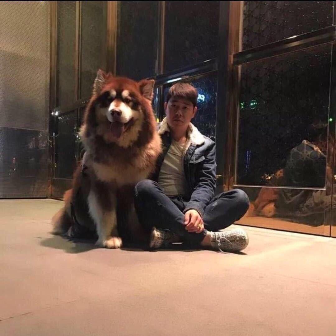 阿亮柯基小铺🐶