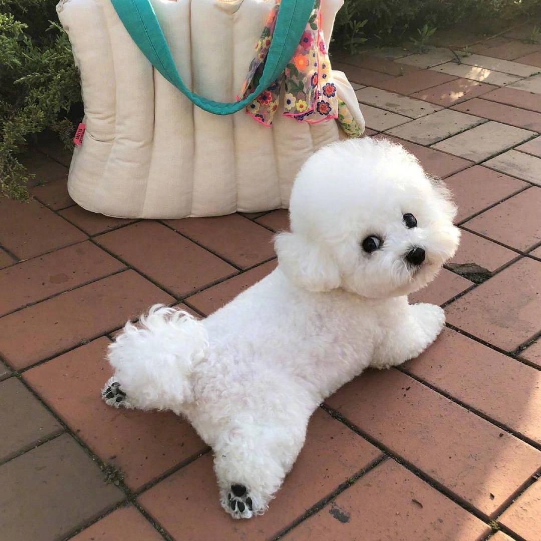 观楼