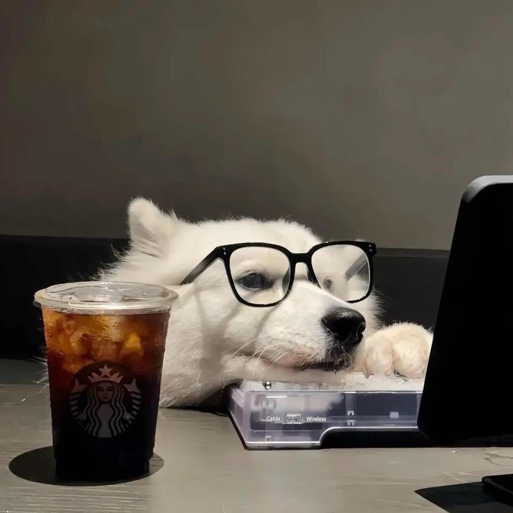 不要叮我蚊子