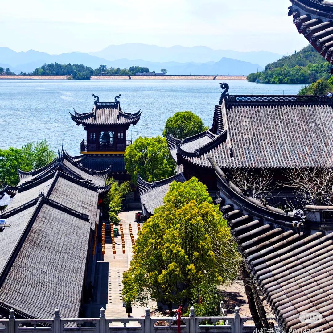 钟玄师姐
