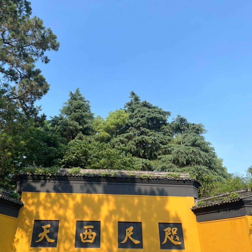 骑行的蜗牛‰