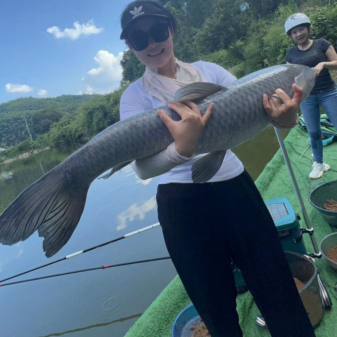 梦纳（美大壮）爱钓鱼@抖音