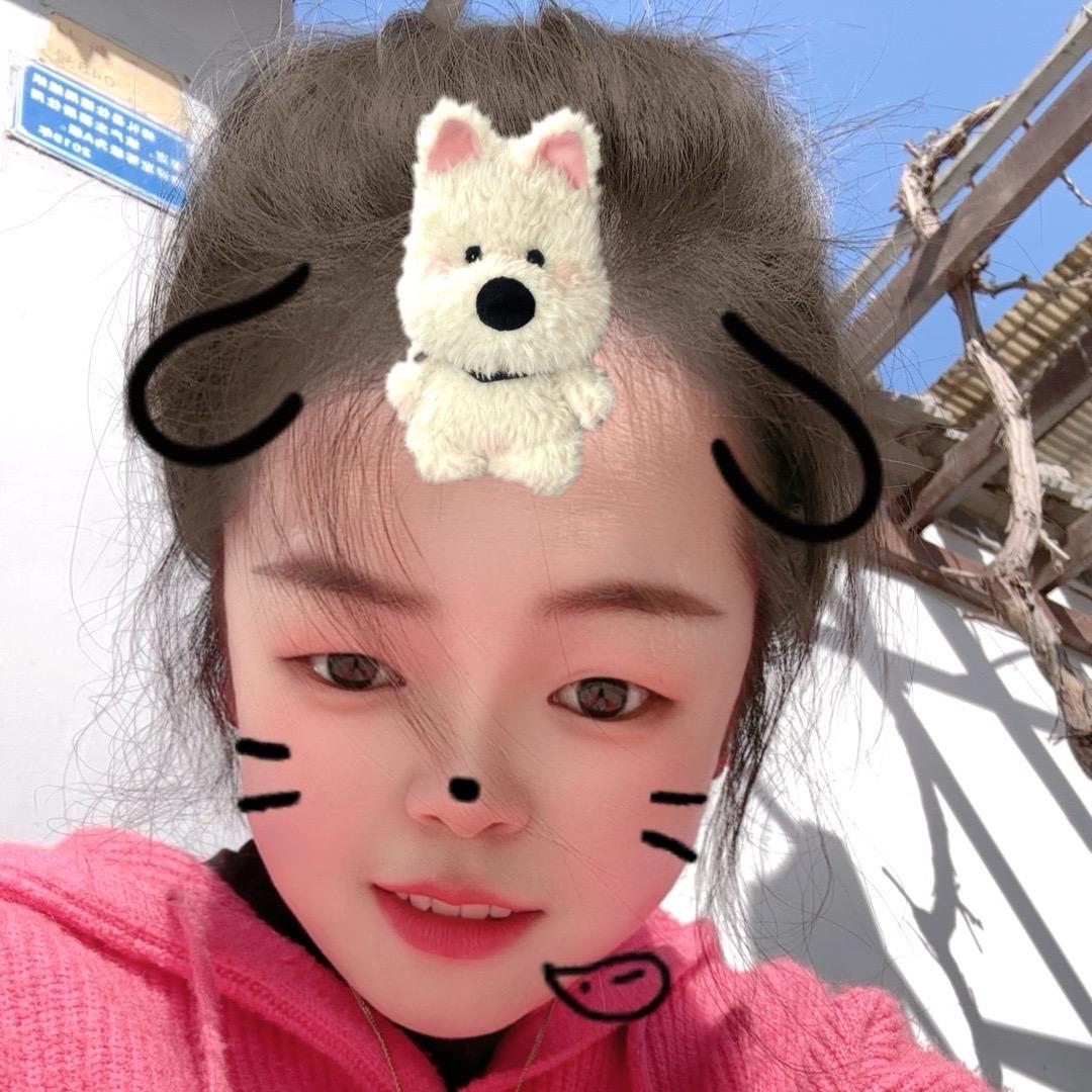爱笑的小李子