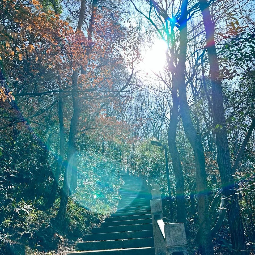 山水。