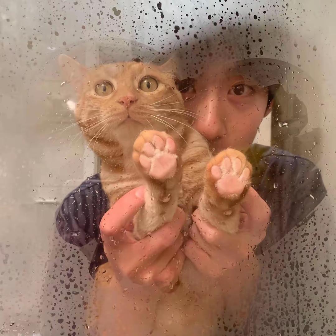 真不吃了