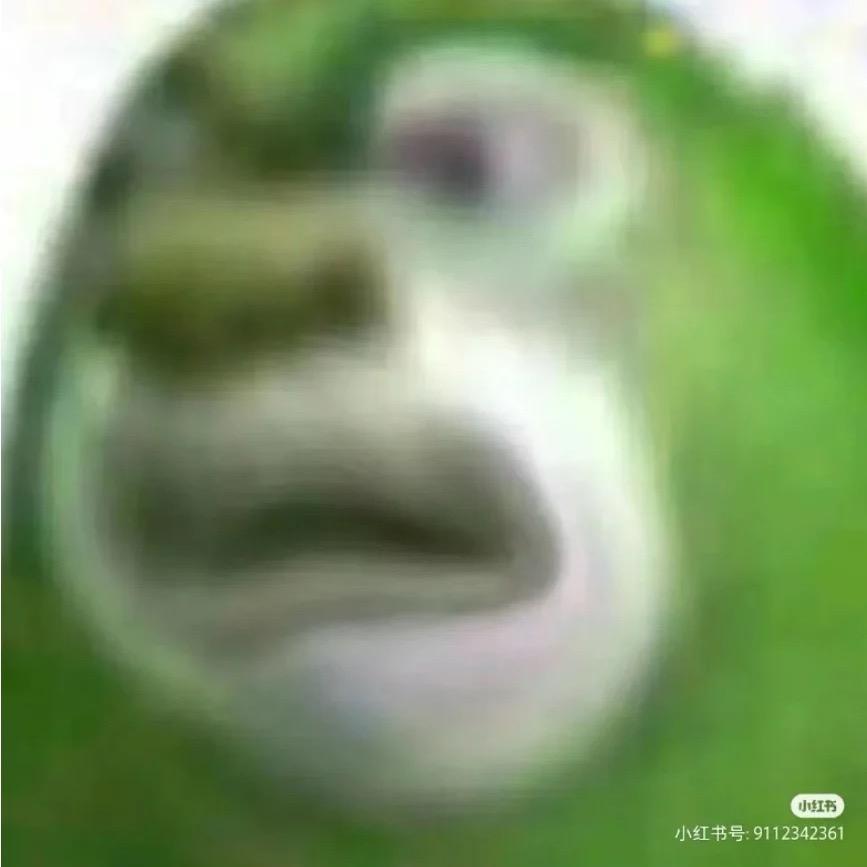 GaDragon