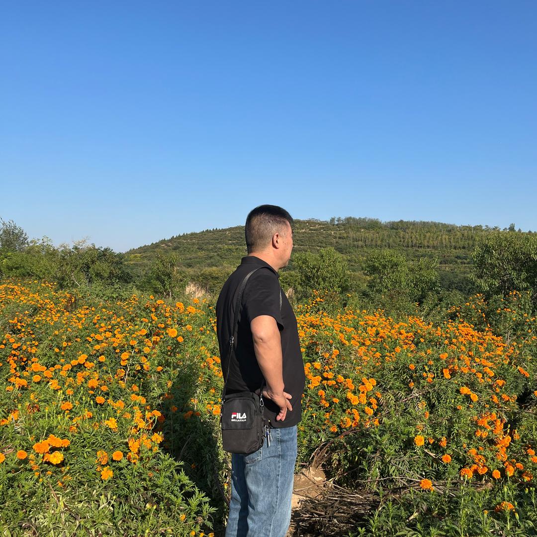 登上～彼岸
