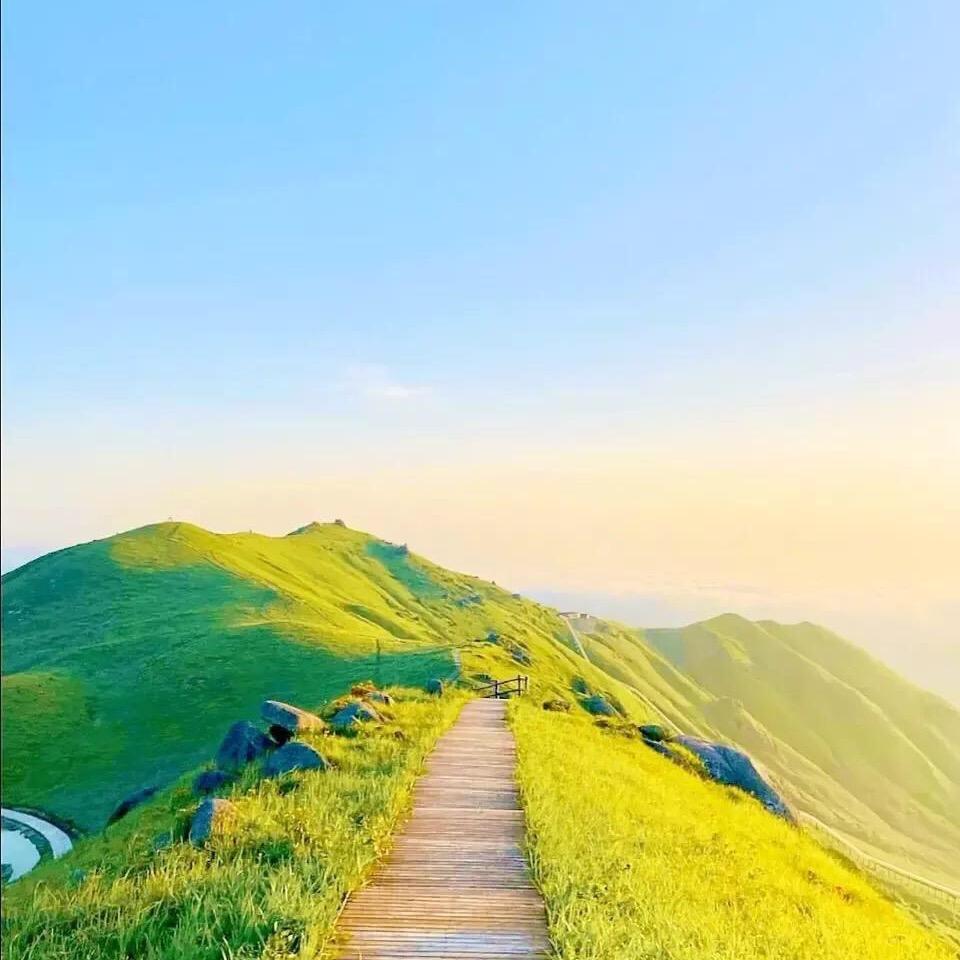 仁心。