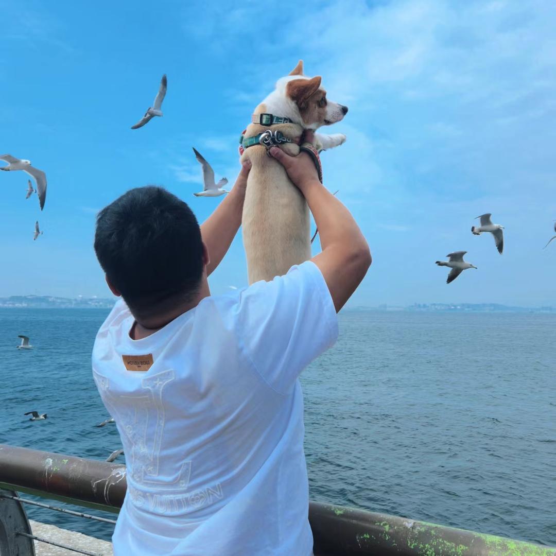 小关没脾气
