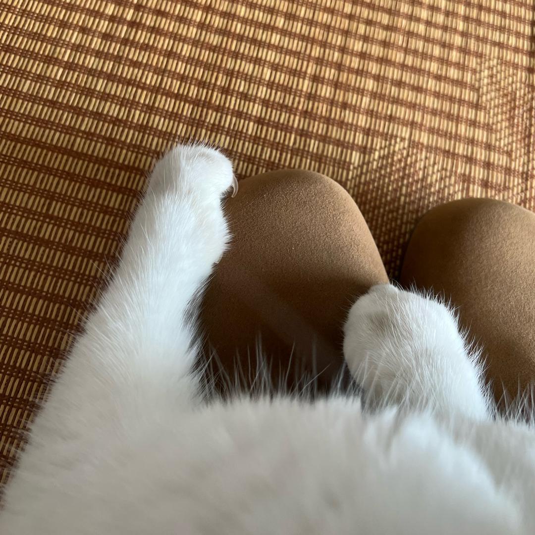 煤炭仔
