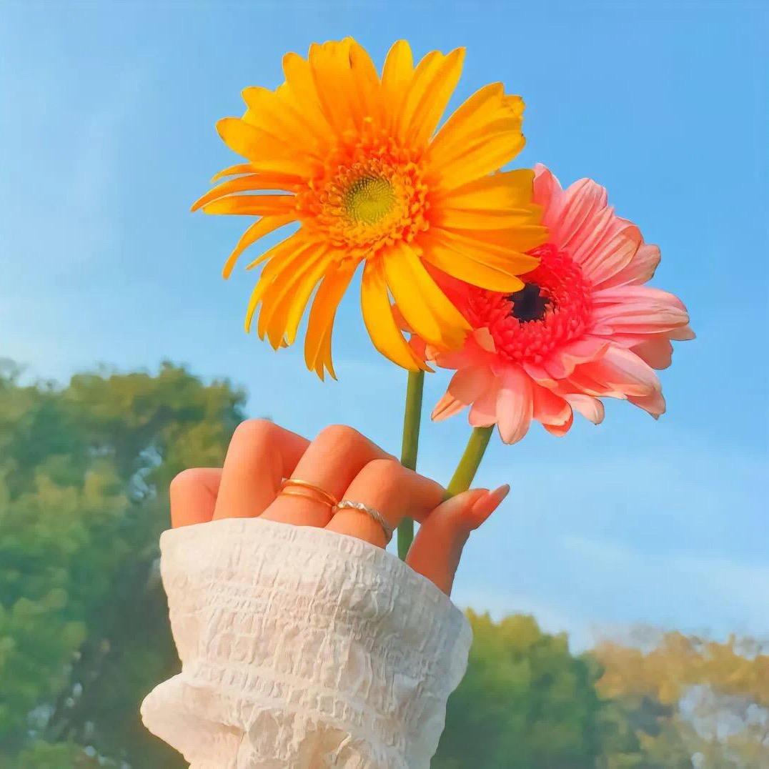 美眉晨曦