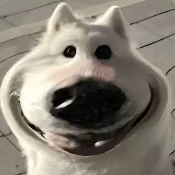 黑煤球