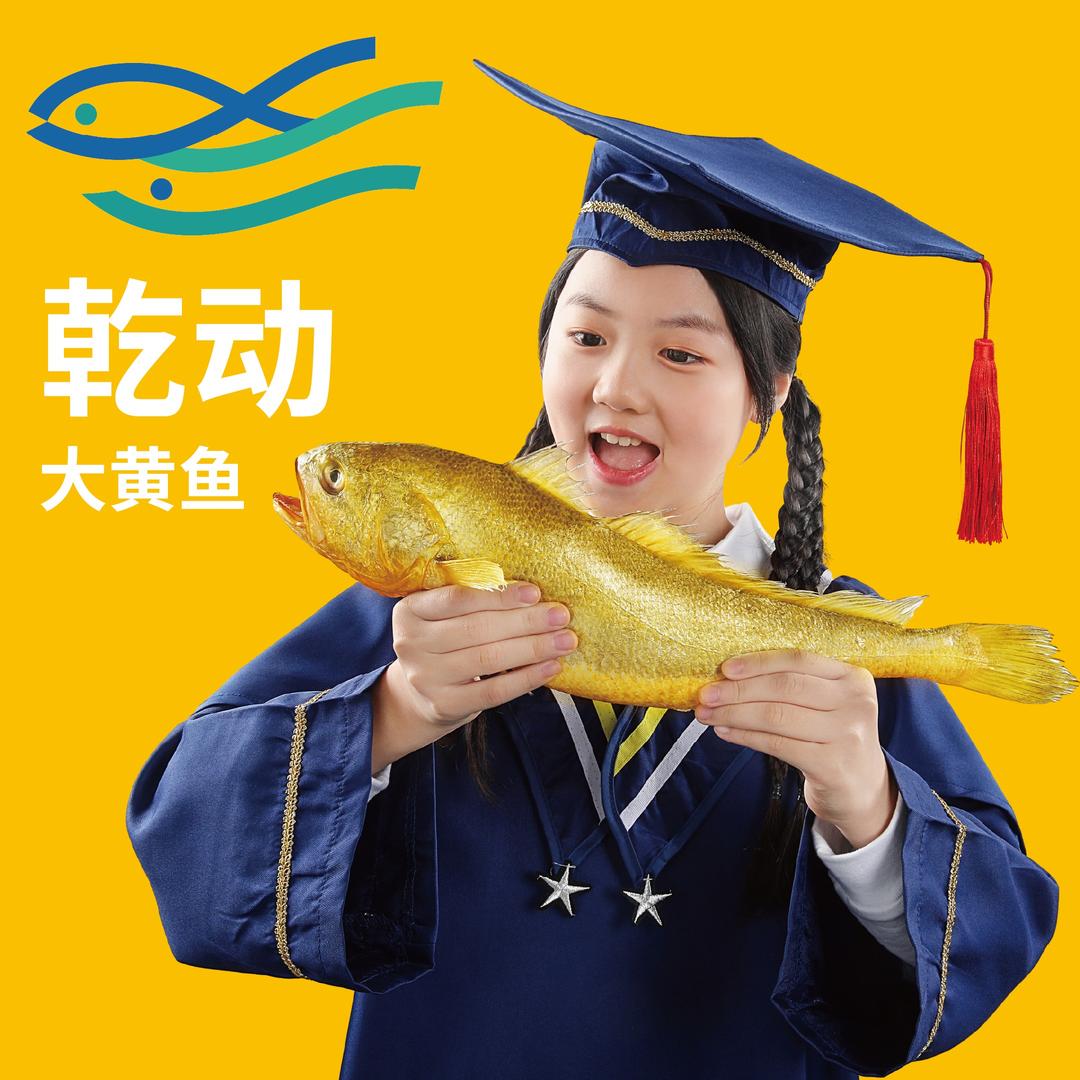 乾动深海大黄鱼