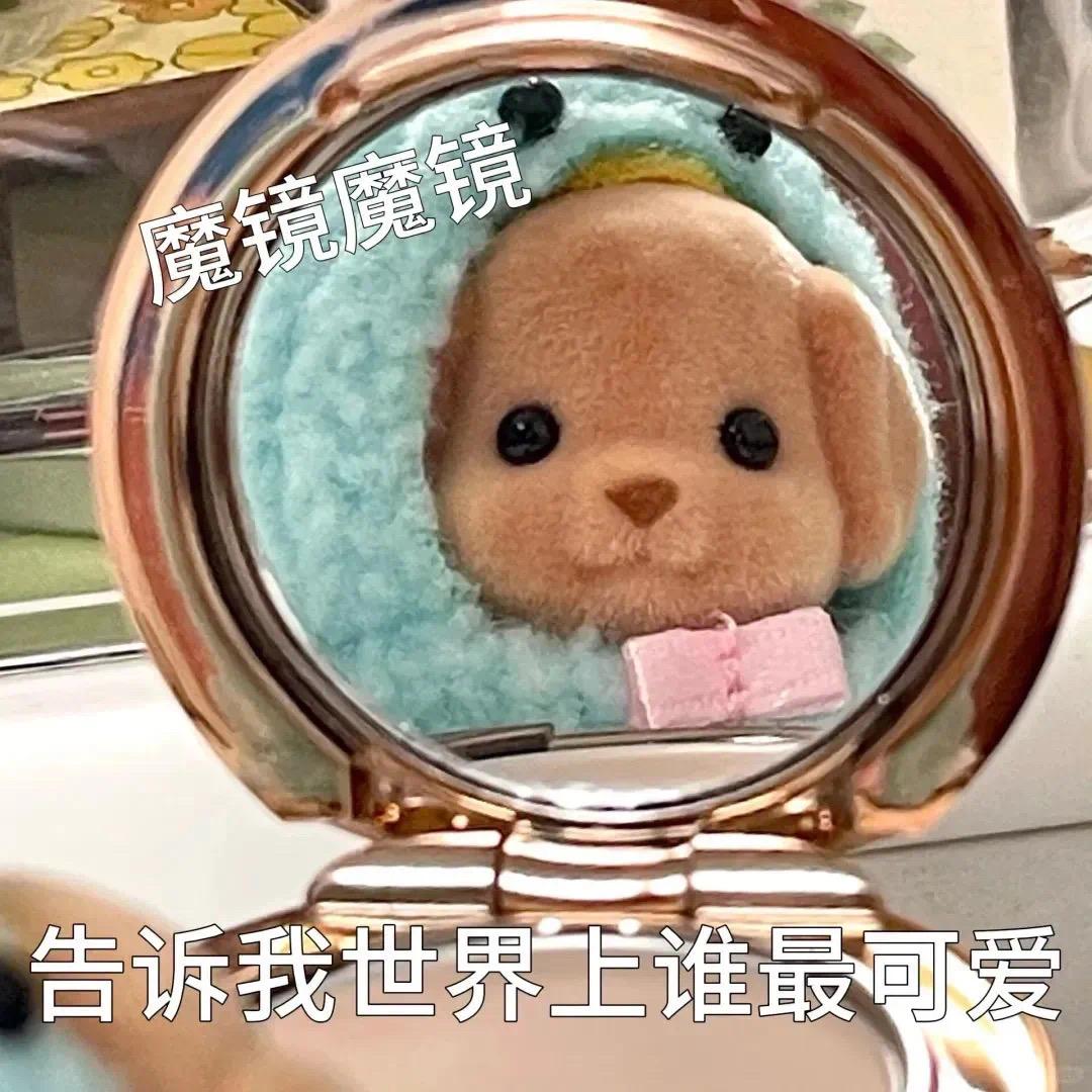 きたがわ まりん