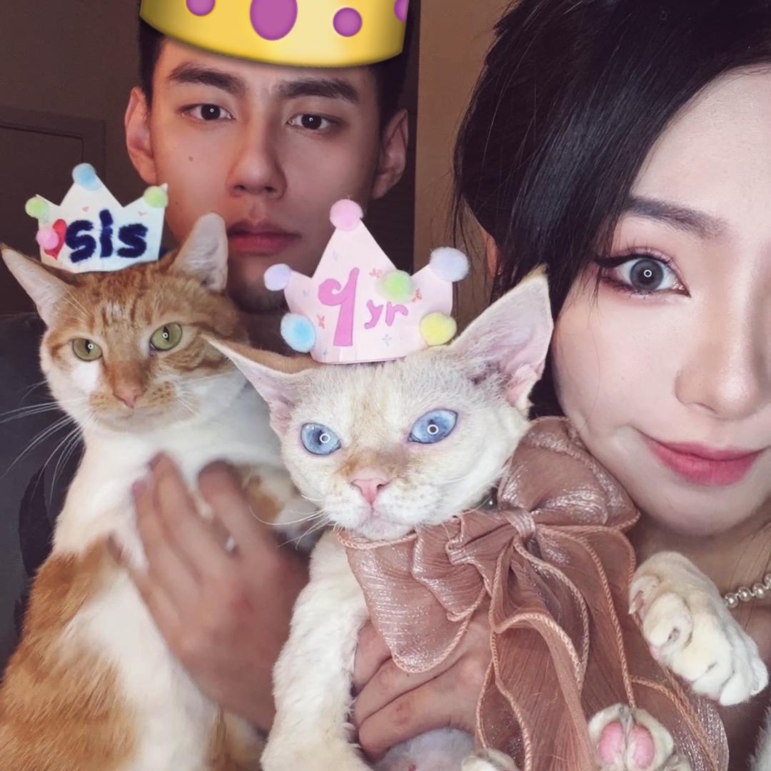 猫猫的克拉拉