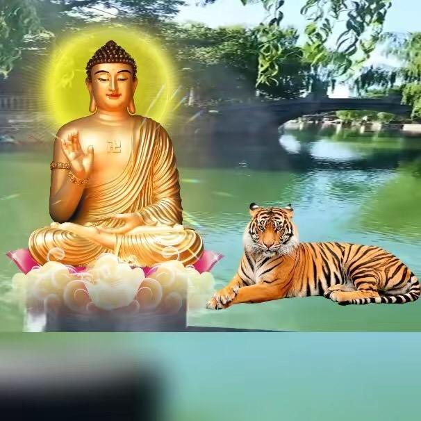 hc樊唔净师