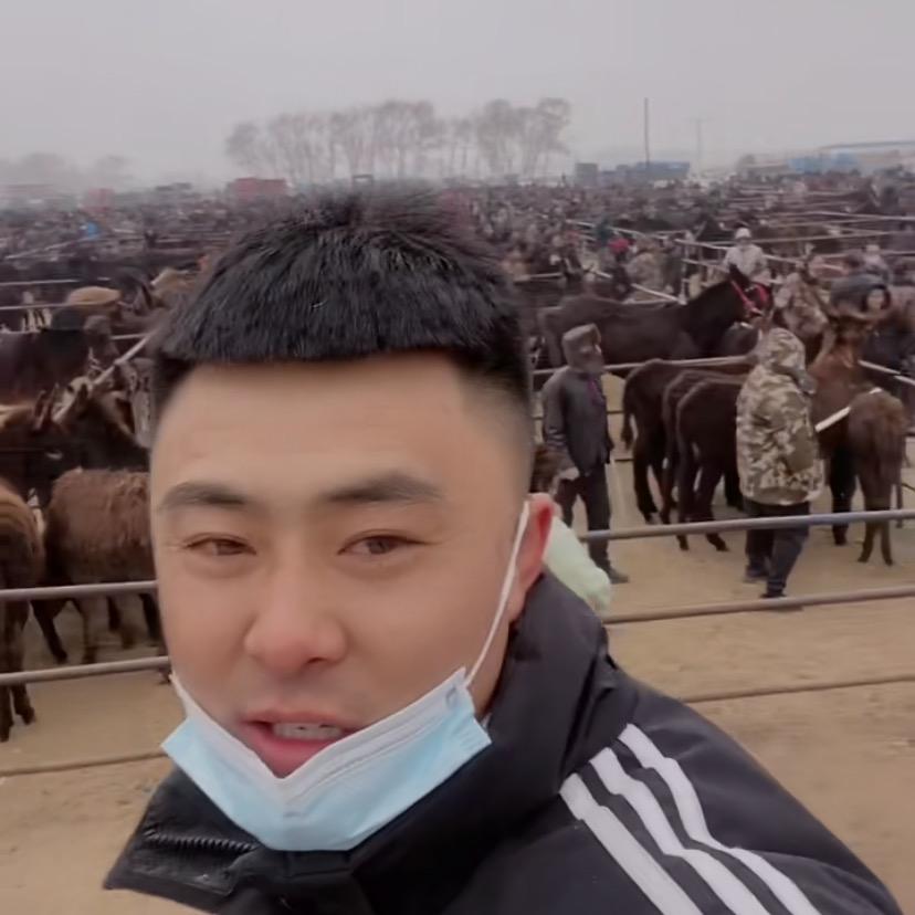 阜新响石驴业赵大宝