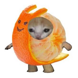 极端猫权