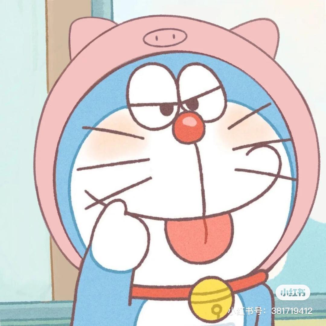 琪老板🐱