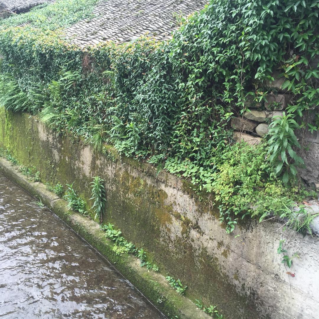 5️⃣月第☝️天