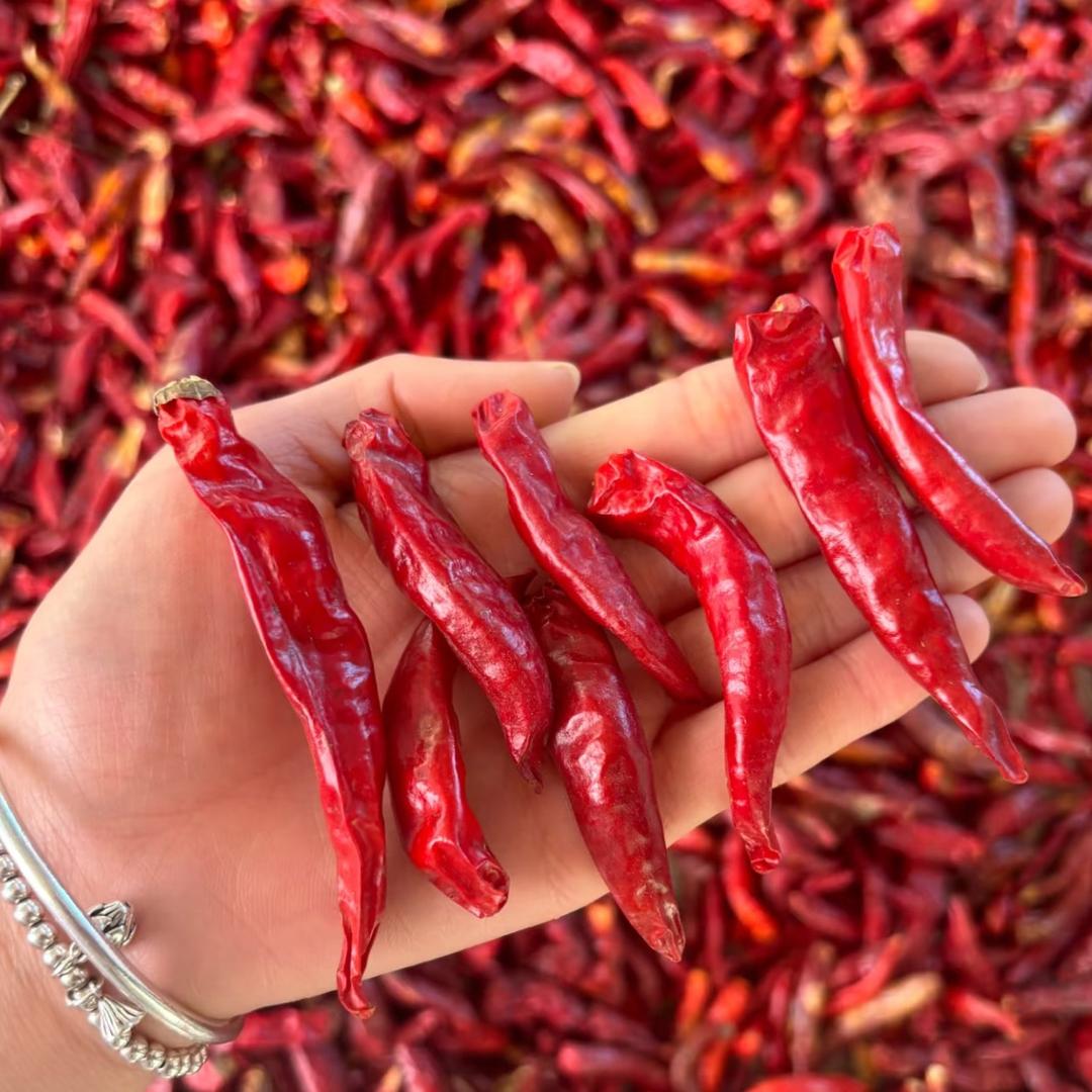 壮壮调料干货辣椒